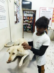 Lucy - Rescued from Hoskote
