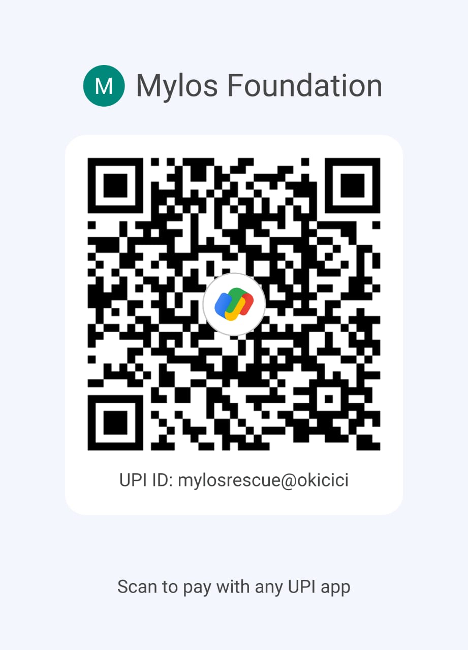 UPI QR Scanner