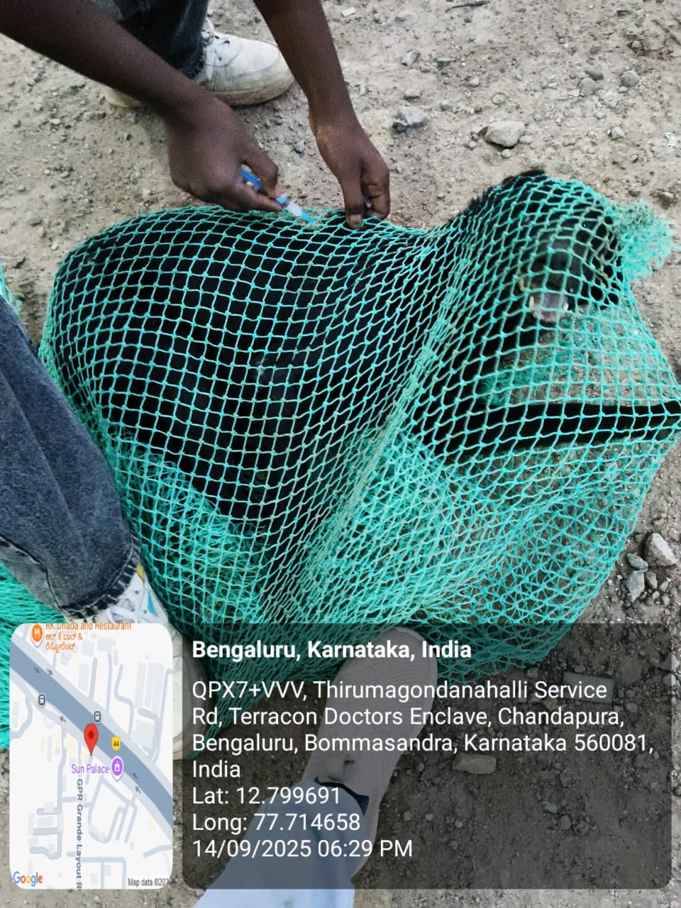 WhatsApp Image 2025-09-17 at 4.23.08 PM