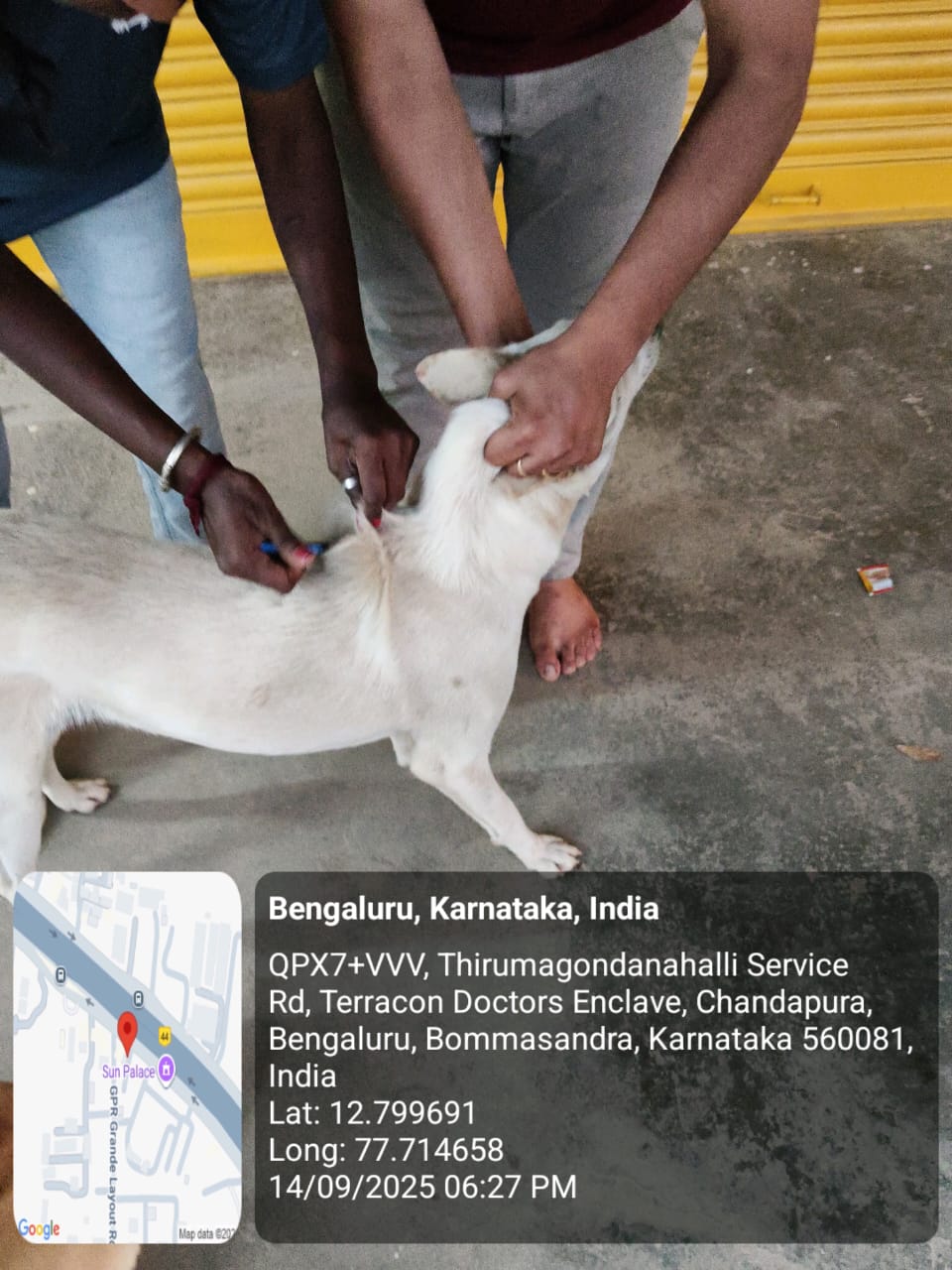 WhatsApp Image 2025-09-17 at 4.23.09 PM (1)