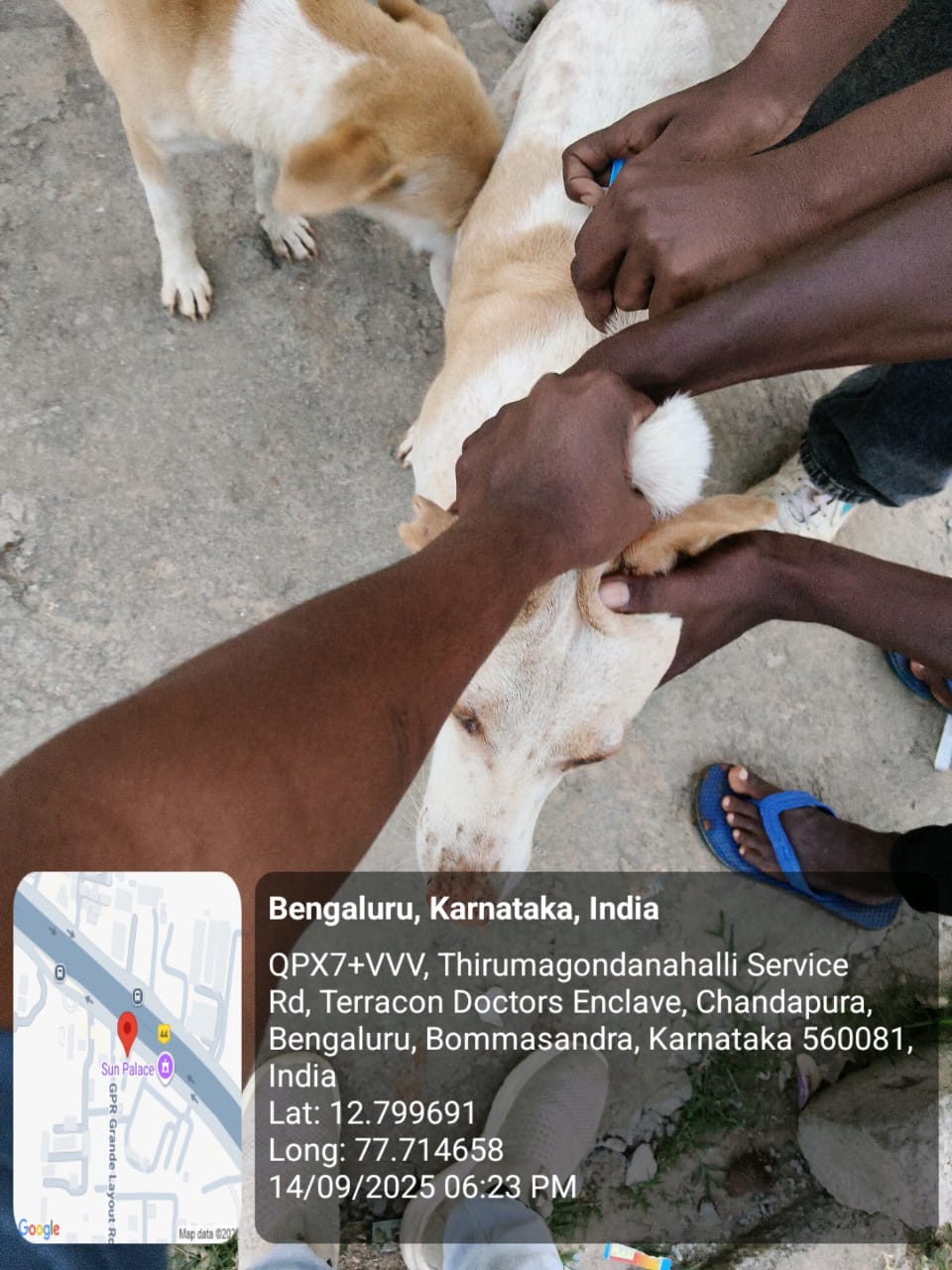 WhatsApp Image 2025-09-17 at 4.23.09 PM (2)