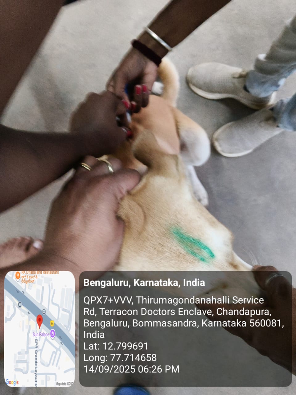 WhatsApp Image 2025-09-17 at 4.23.09 PM