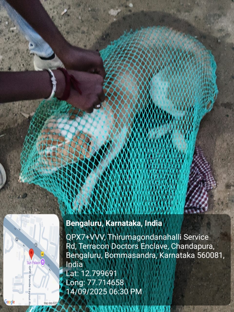 WhatsApp Image 2025-09-17 at 4.23.10 PM (1)