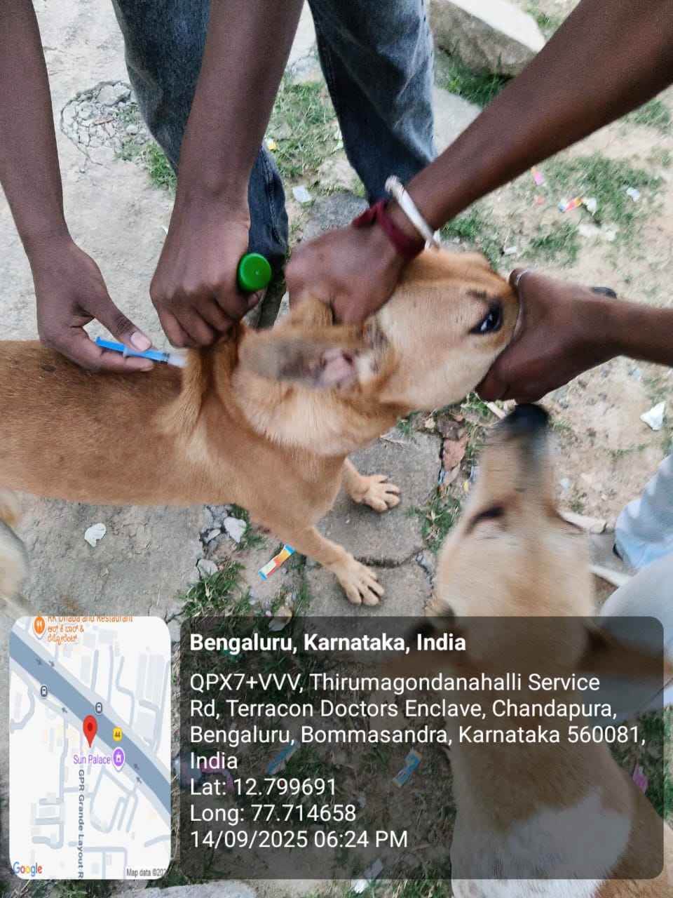 WhatsApp Image 2025-09-17 at 4.23.10 PM (2)