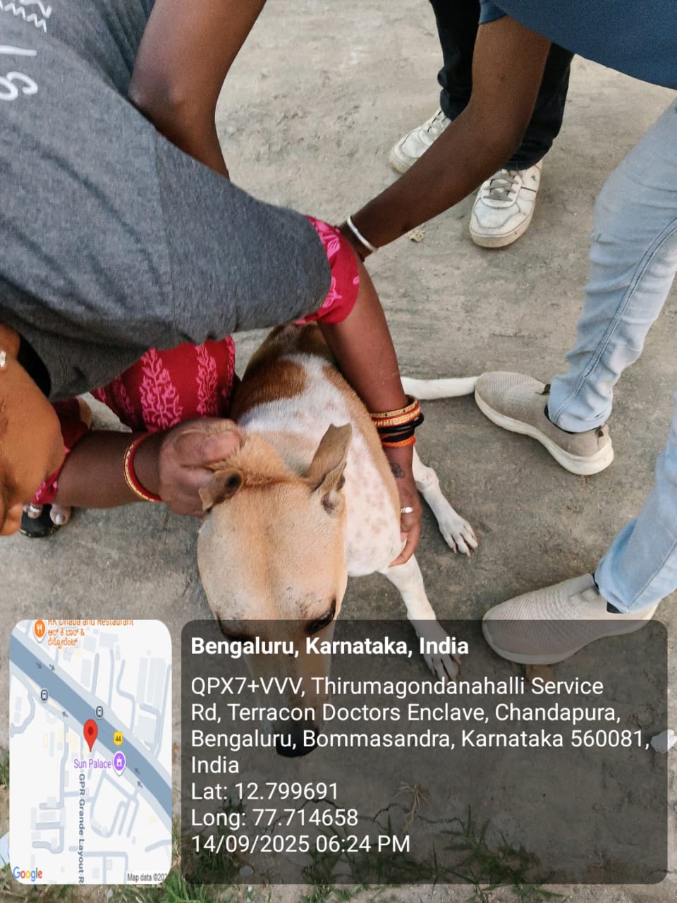 WhatsApp Image 2025-09-17 at 4.23.10 PM