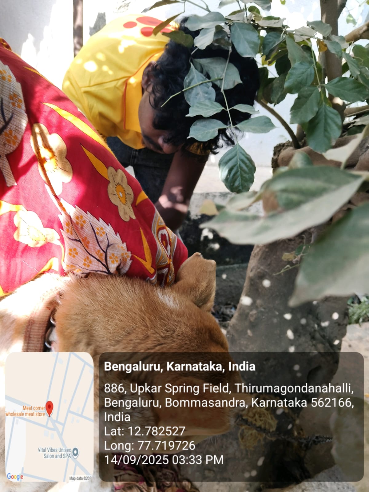 WhatsApp Image 2025-09-17 at 4.31.30 PM