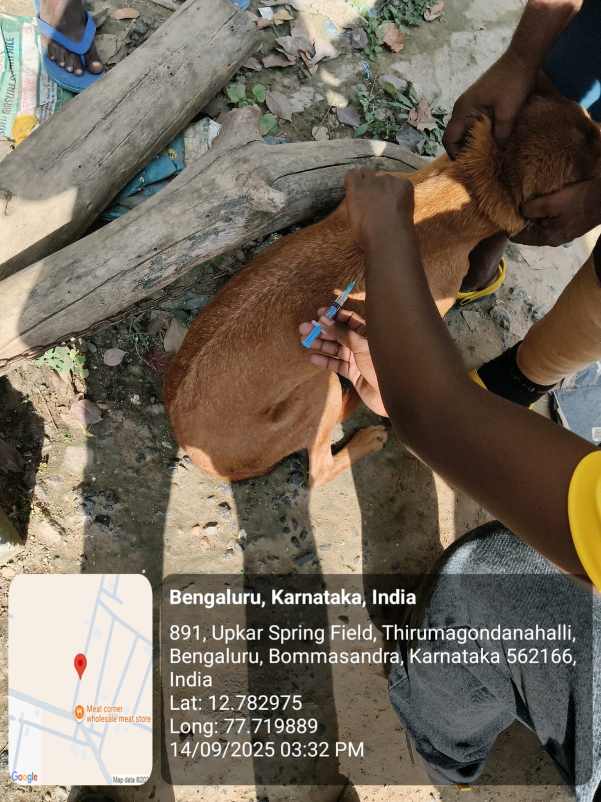 WhatsApp Image 2025-09-17 at 4.31.31 PM (1)