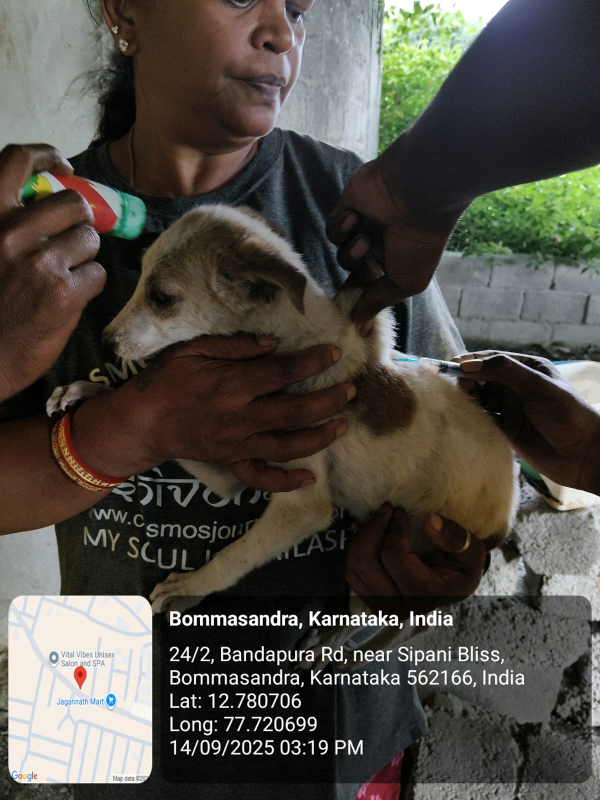 WhatsApp Image 2025-09-17 at 4.31.31 PM (2)