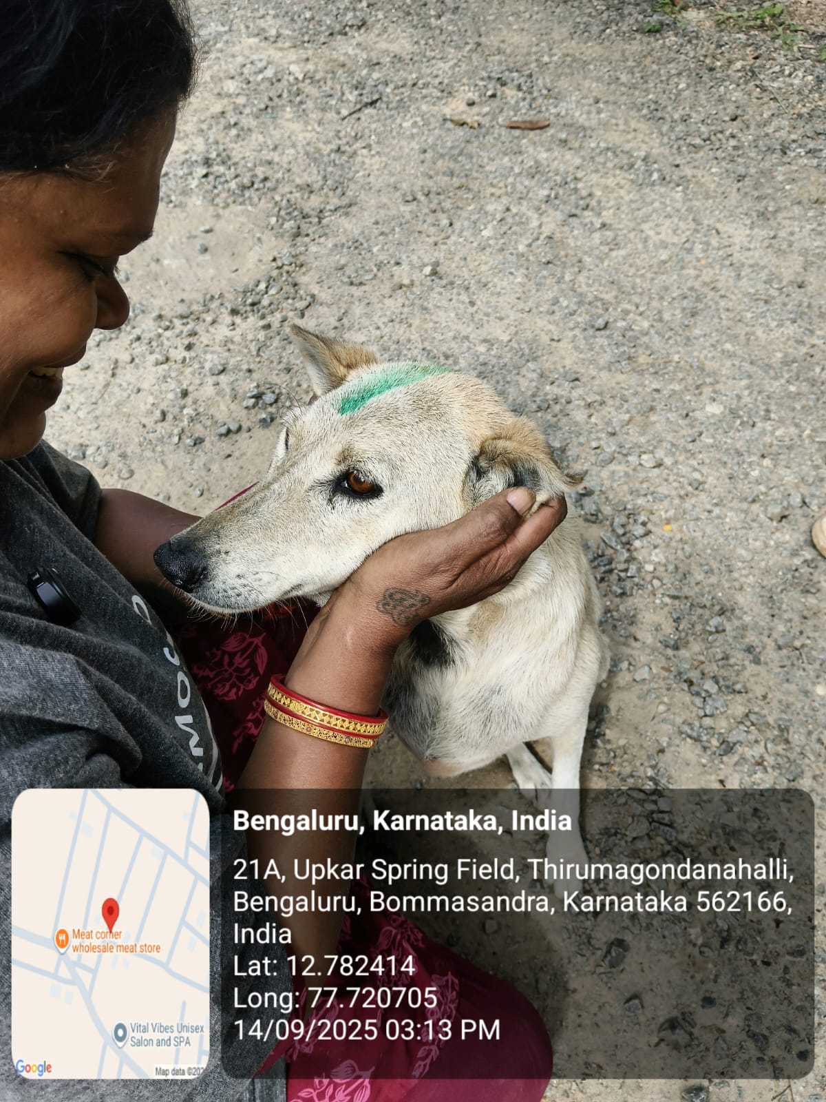 WhatsApp Image 2025-09-17 at 4.31.31 PM (3)