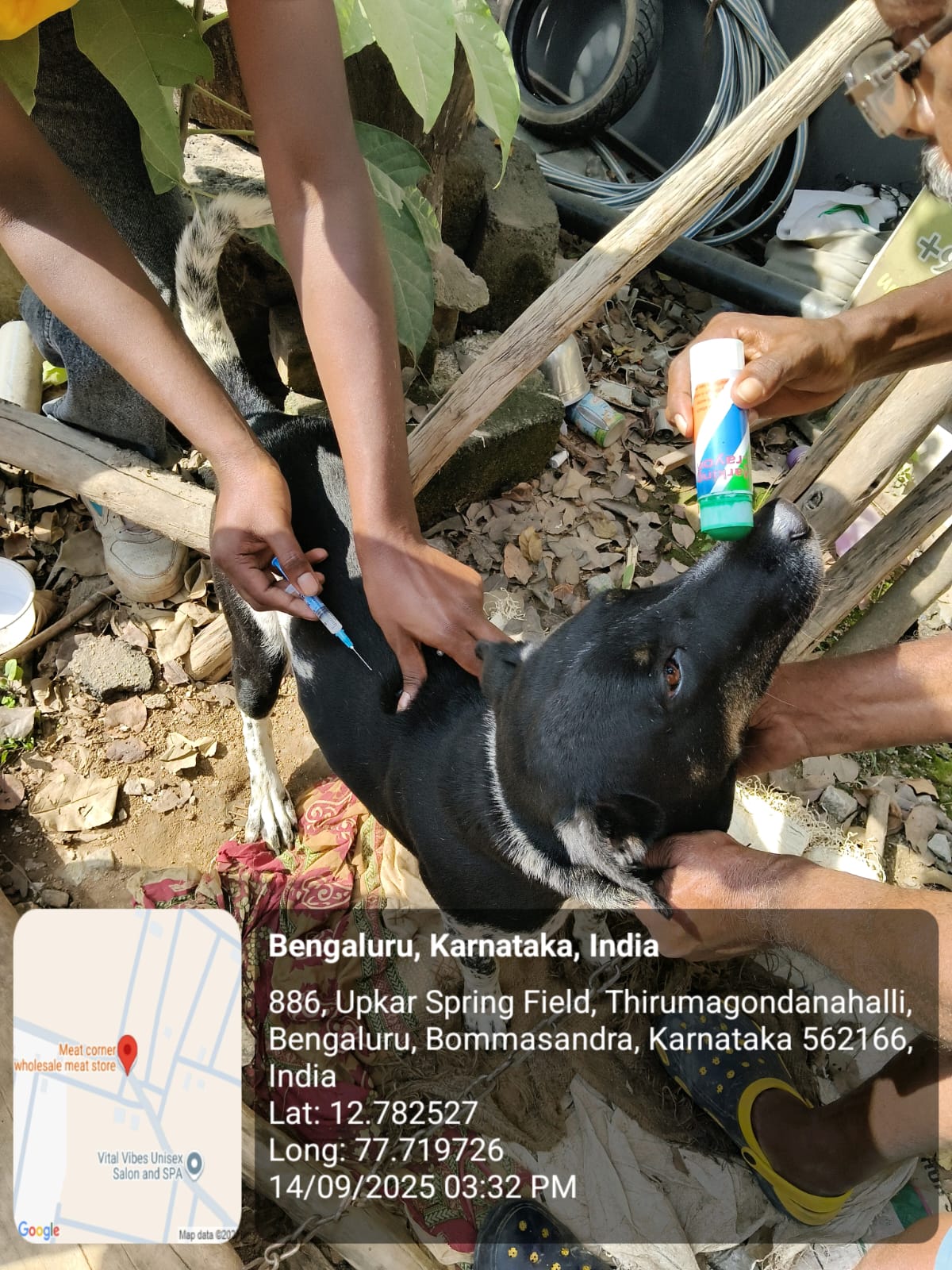 WhatsApp Image 2025-09-17 at 4.31.31 PM