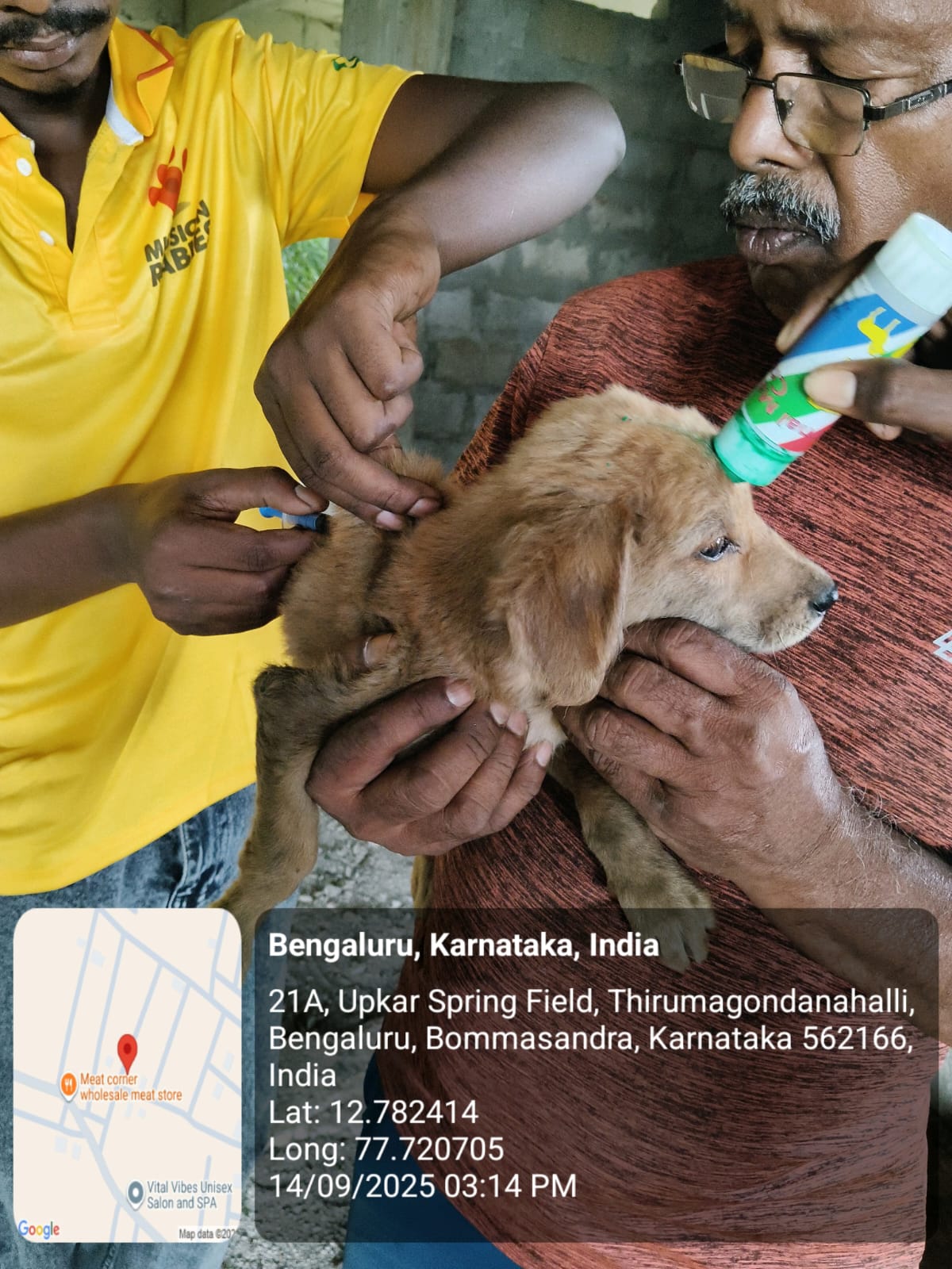 WhatsApp Image 2025-09-17 at 4.31.32 PM (1)