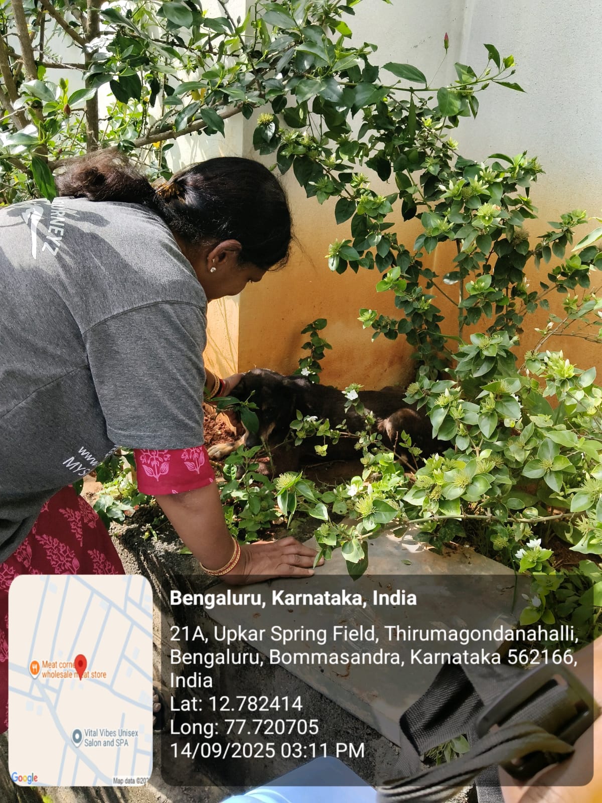 WhatsApp Image 2025-09-17 at 4.31.32 PM (2)