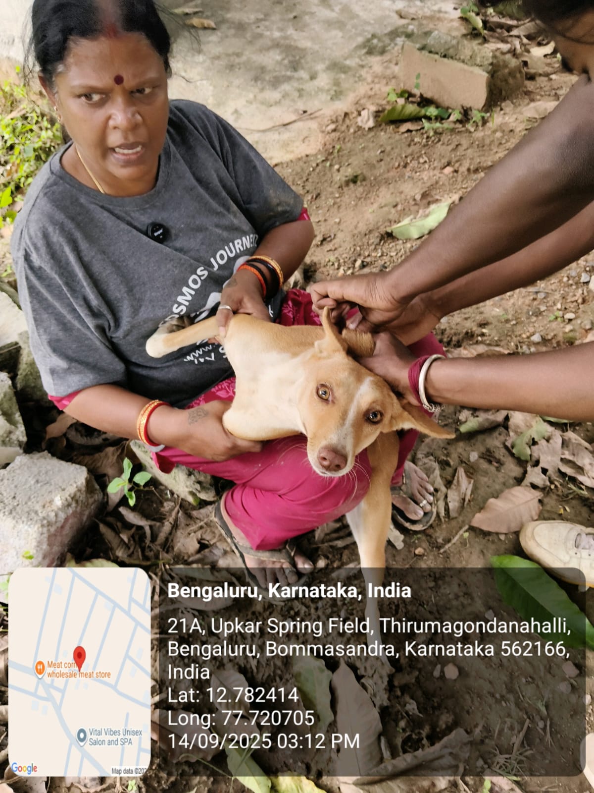 WhatsApp Image 2025-09-17 at 4.31.32 PM