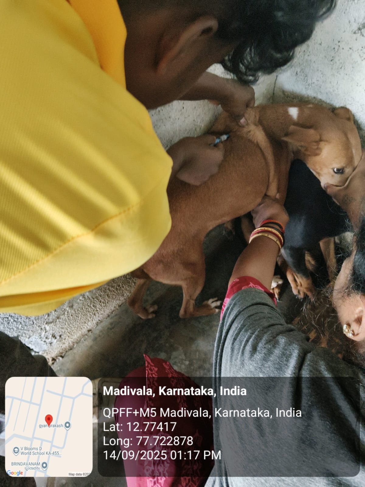 WhatsApp Image 2025-09-17 at 4.34.37 PM