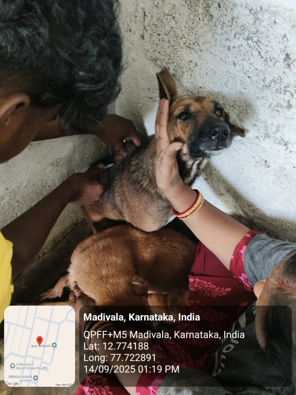 WhatsApp Image 2025-09-17 at 4.34.39 PM (1)