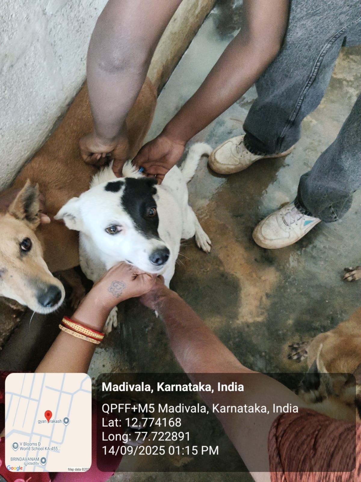 WhatsApp Image 2025-09-17 at 4.34.39 PM (2)