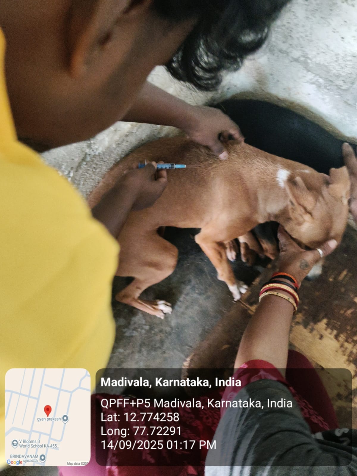 WhatsApp Image 2025-09-17 at 4.34.39 PM