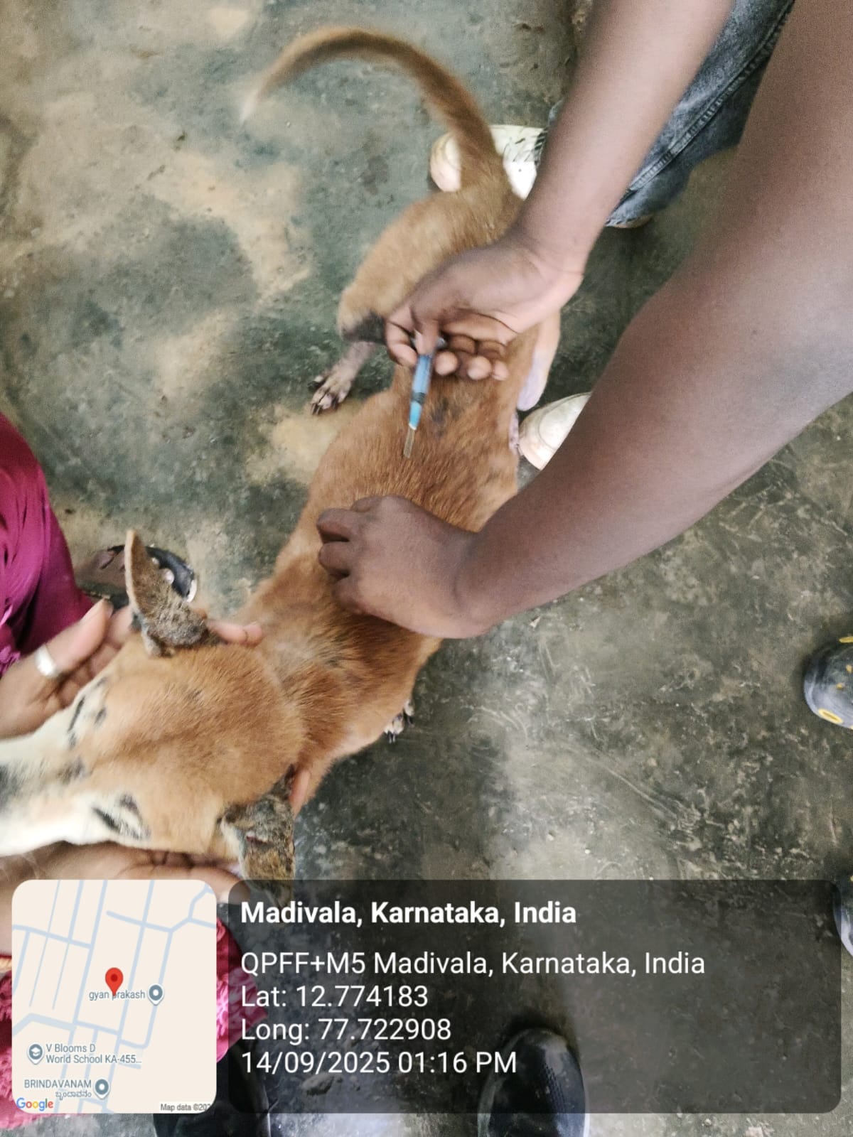 WhatsApp Image 2025-09-17 at 4.34.40 PM (1)