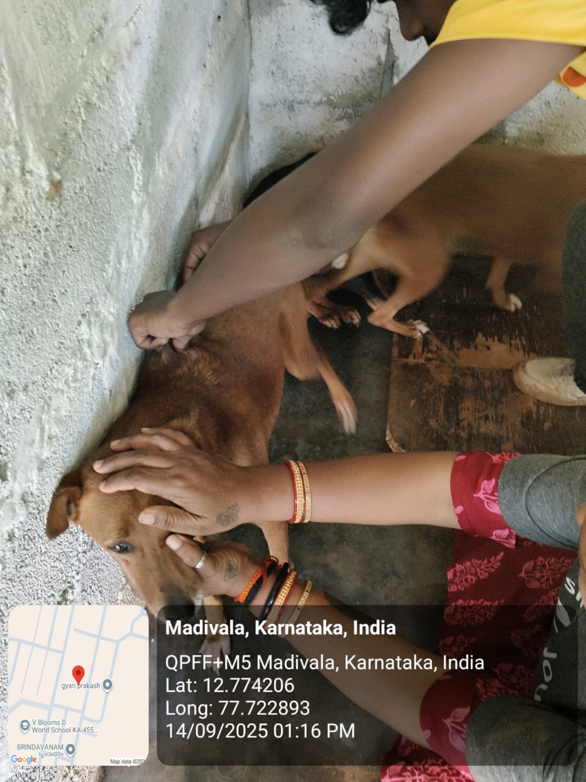 WhatsApp Image 2025-09-17 at 4.34.40 PM