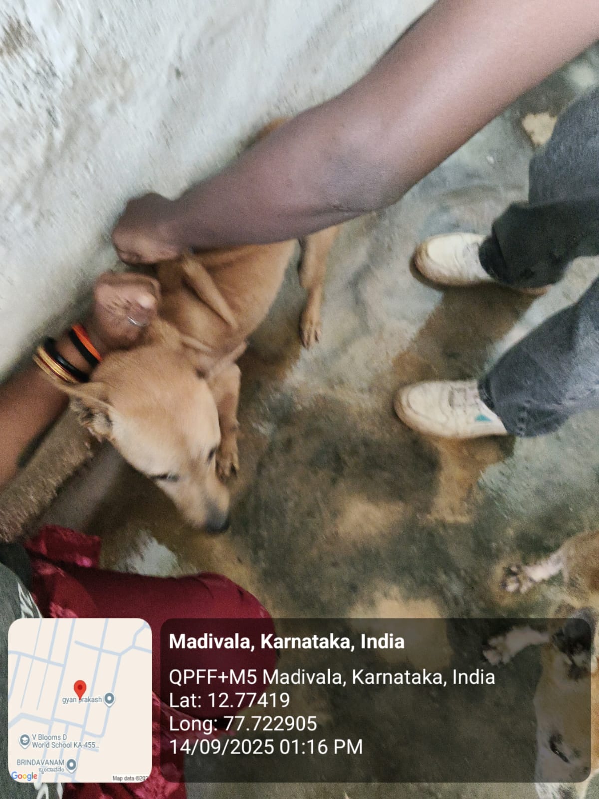 WhatsApp Image 2025-09-17 at 4.34.41 PM (1)