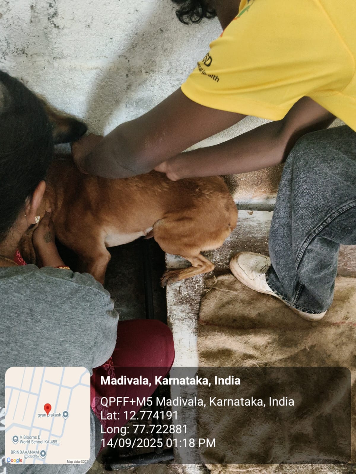 WhatsApp Image 2025-09-17 at 4.34.41 PM