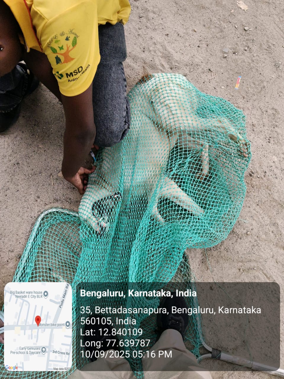 WhatsApp Image 2025-09-17 at 4.35.22 PM