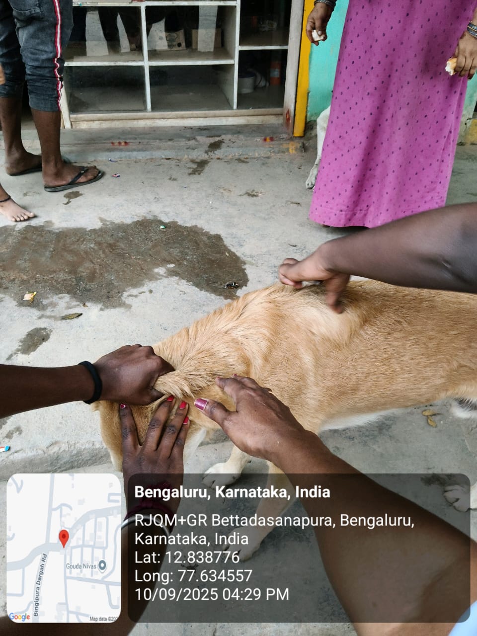 WhatsApp Image 2025-09-17 at 4.35.23 PM