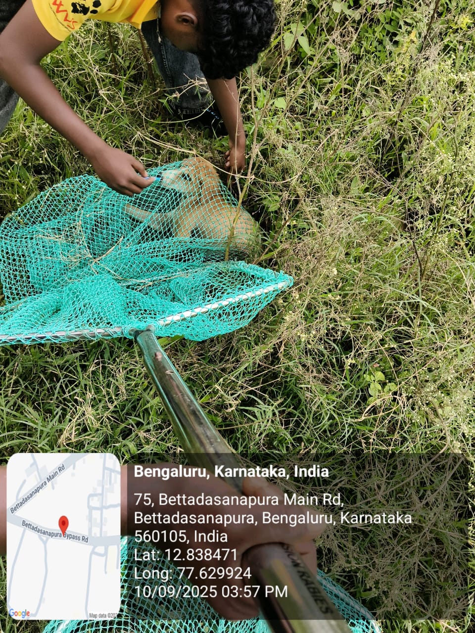 WhatsApp Image 2025-09-17 at 4.35.24 PM (2)