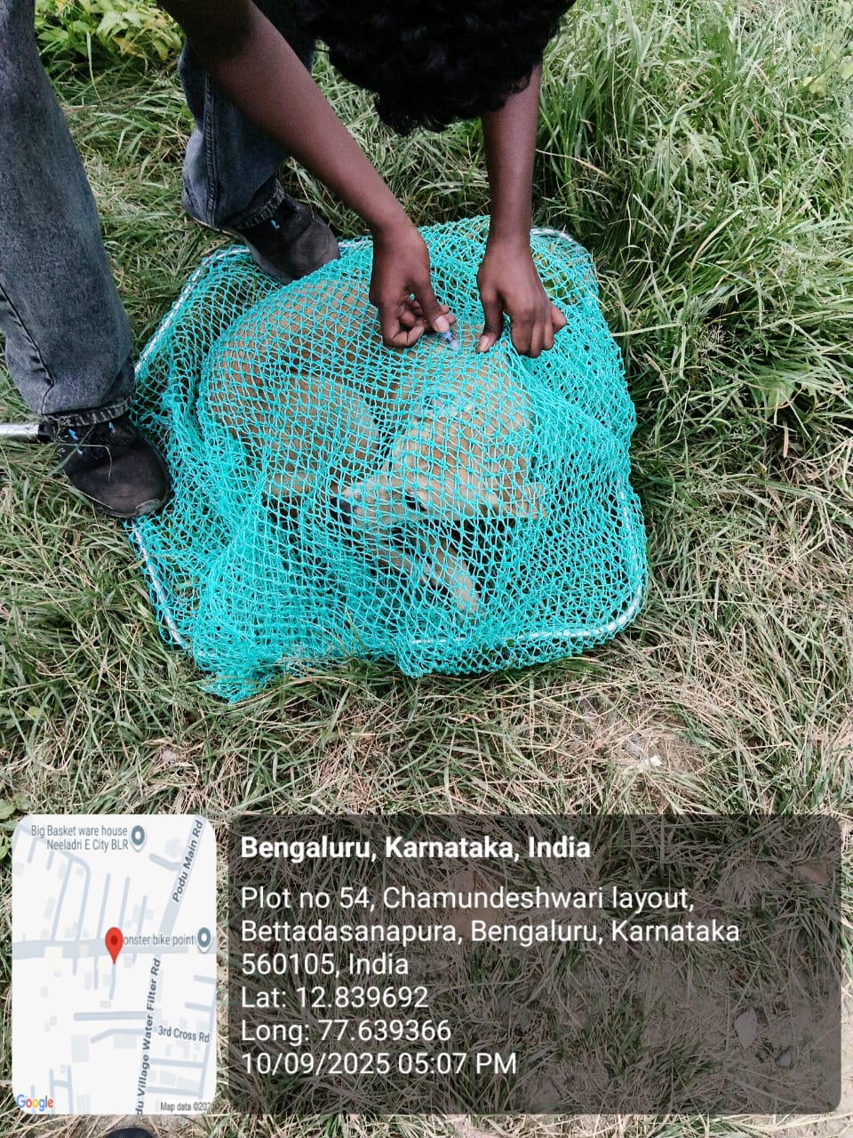 WhatsApp Image 2025-09-17 at 4.35.25 PM (1)