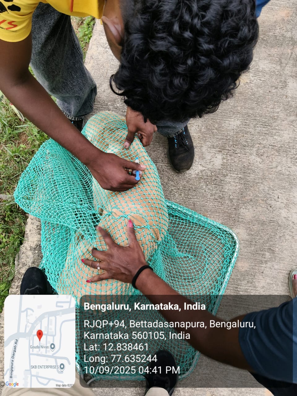 WhatsApp Image 2025-09-17 at 4.35.25 PM