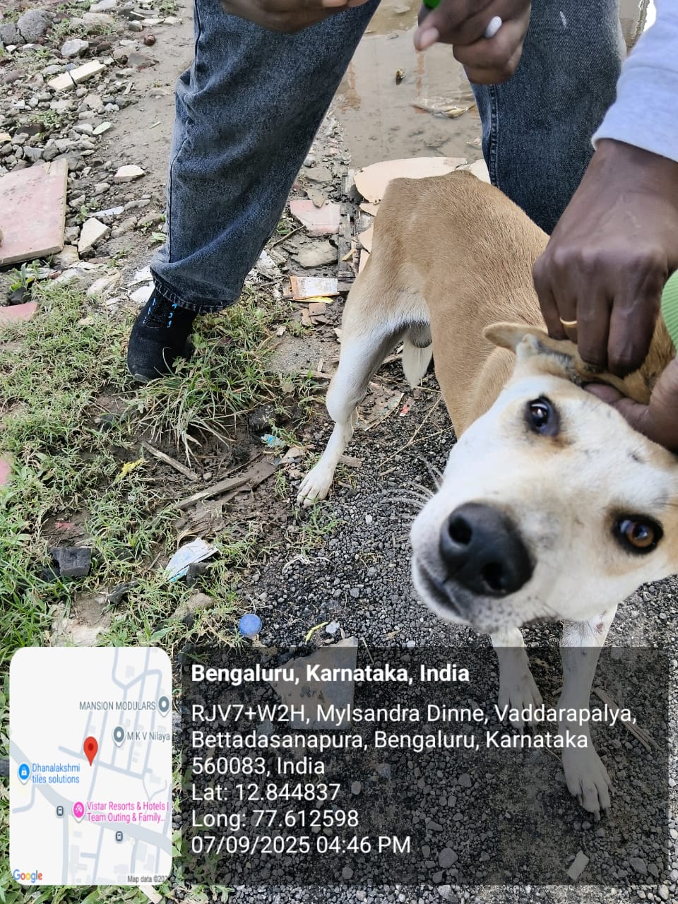 WhatsApp Image 2025-09-17 at 4.36.33 PM