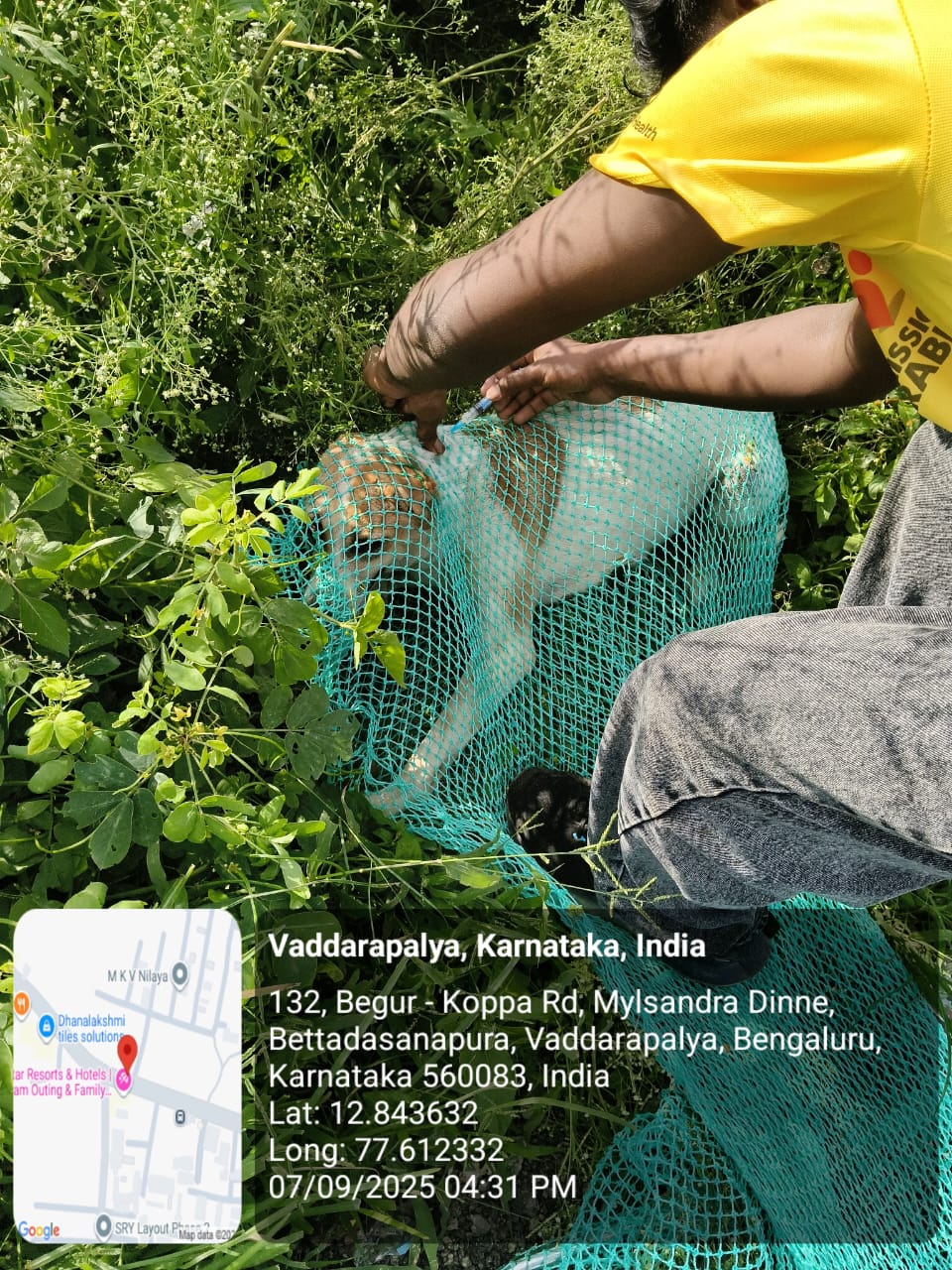 WhatsApp Image 2025-09-17 at 4.36.34 PM (1)