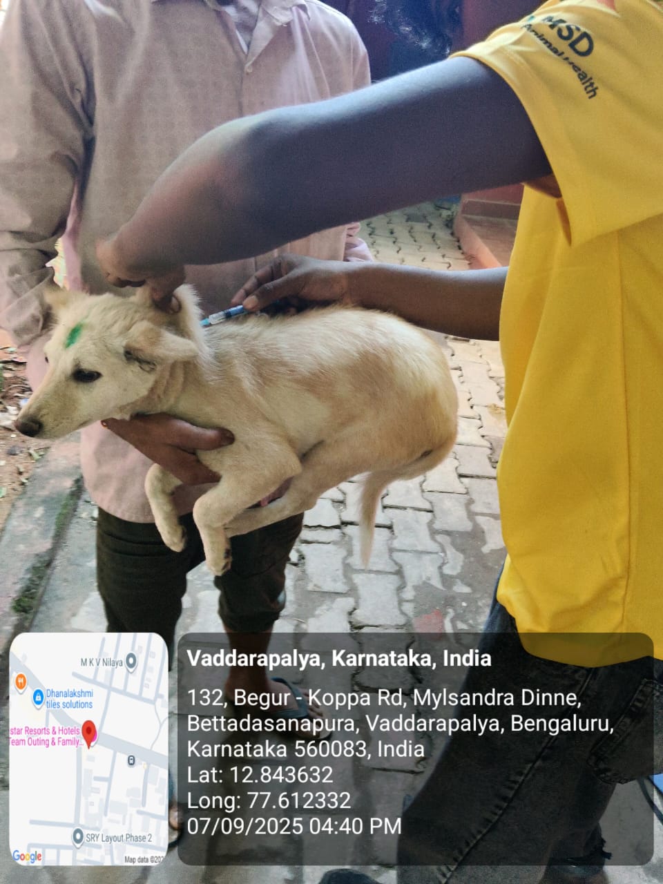 WhatsApp Image 2025-09-17 at 4.36.34 PM (2)