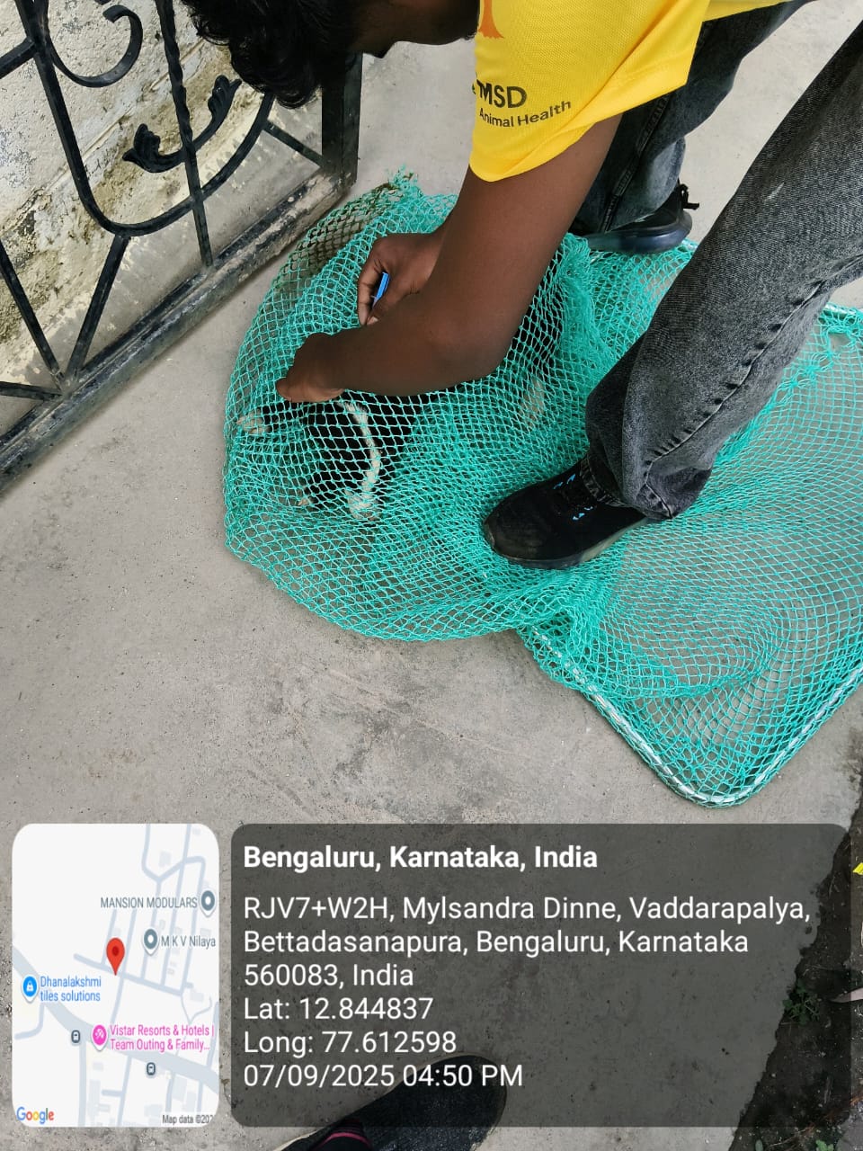 WhatsApp Image 2025-09-17 at 4.36.34 PM