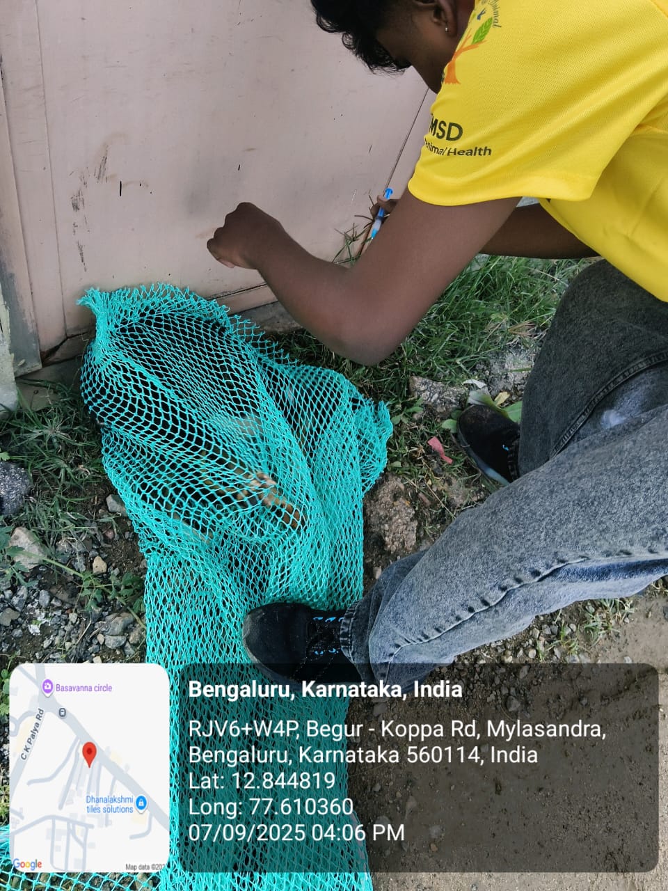 WhatsApp Image 2025-09-17 at 4.36.35 PM (1)