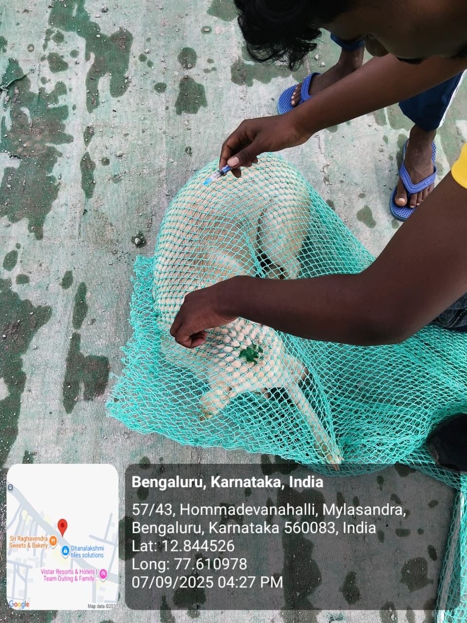 WhatsApp Image 2025-09-17 at 4.36.35 PM (2)