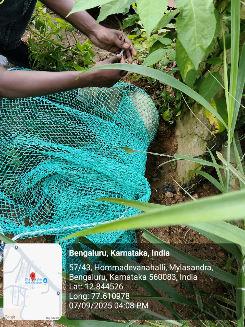 WhatsApp Image 2025-09-17 at 4.36.36 PM (1)