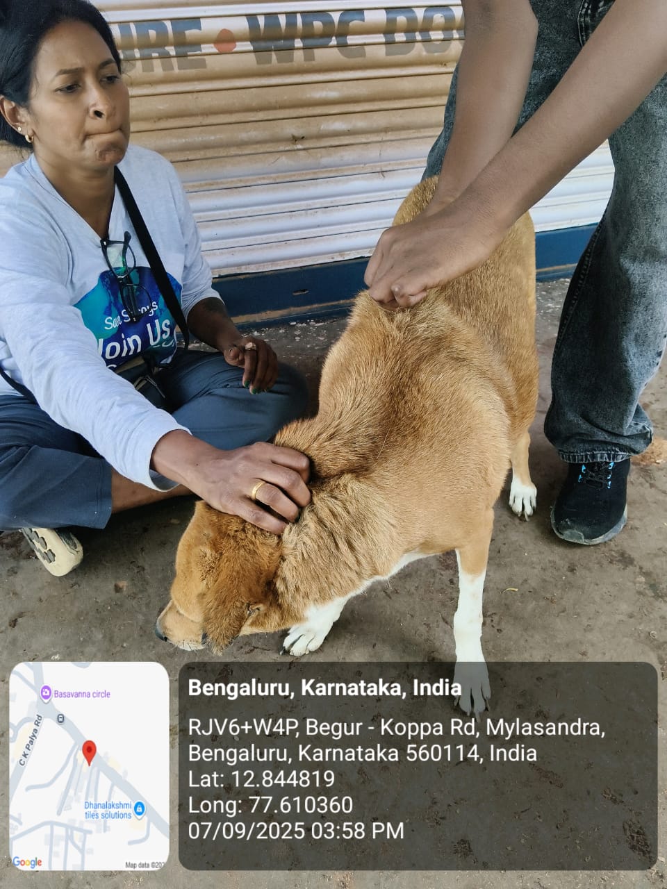 WhatsApp Image 2025-09-17 at 4.36.36 PM (2)