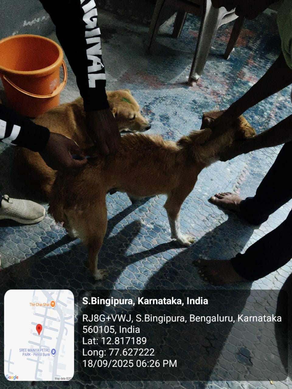 WhatsApp Image 2025-09-19 at 7.19.16 PM (1)