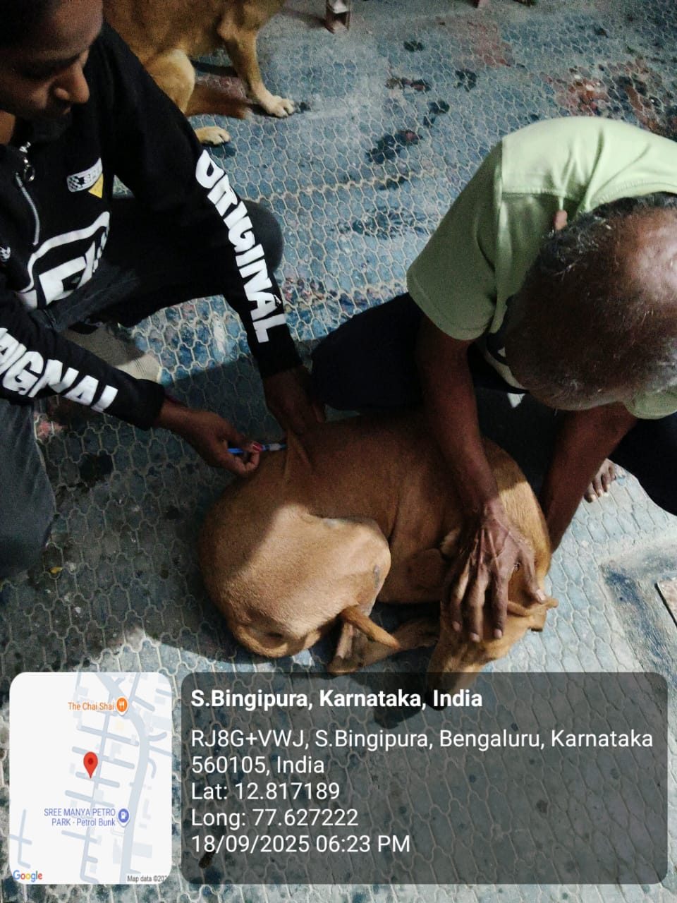 WhatsApp Image 2025-09-19 at 7.19.17 PM (1)