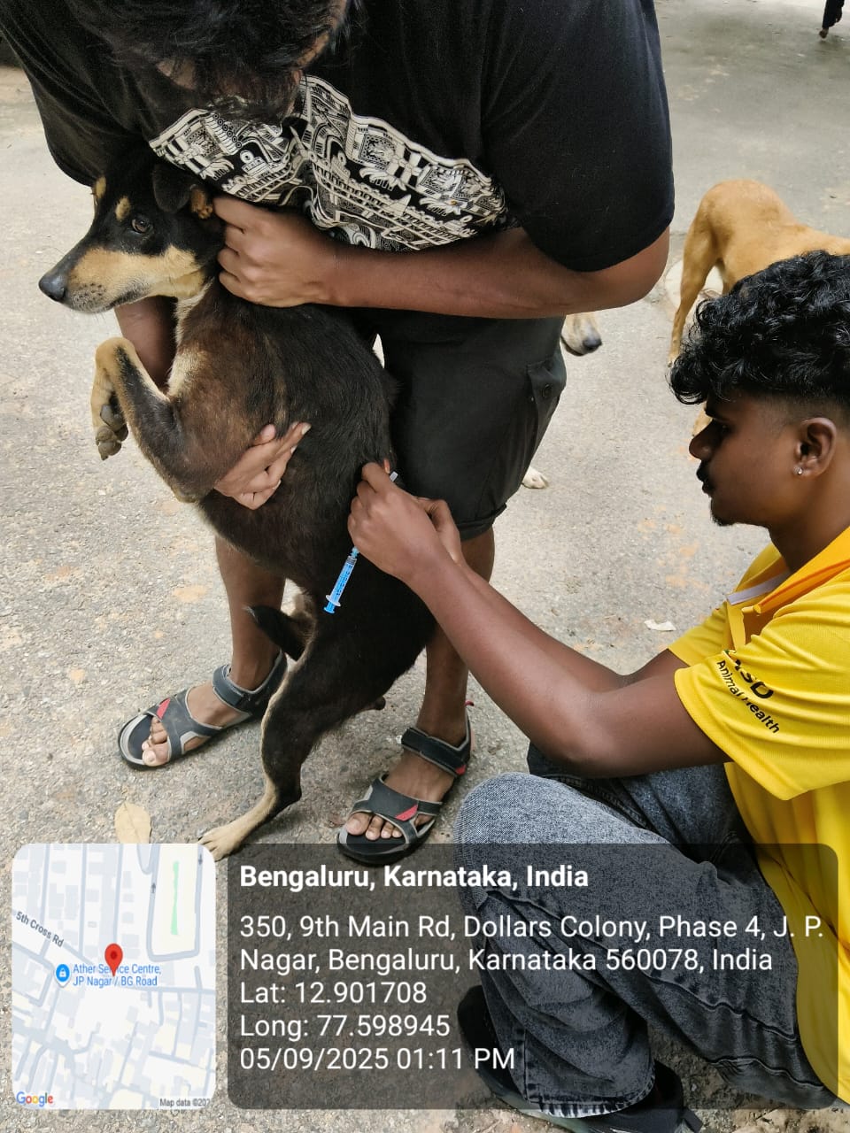 WhatsApp Image 2025-09-19 at 7.21.46 PM (1)