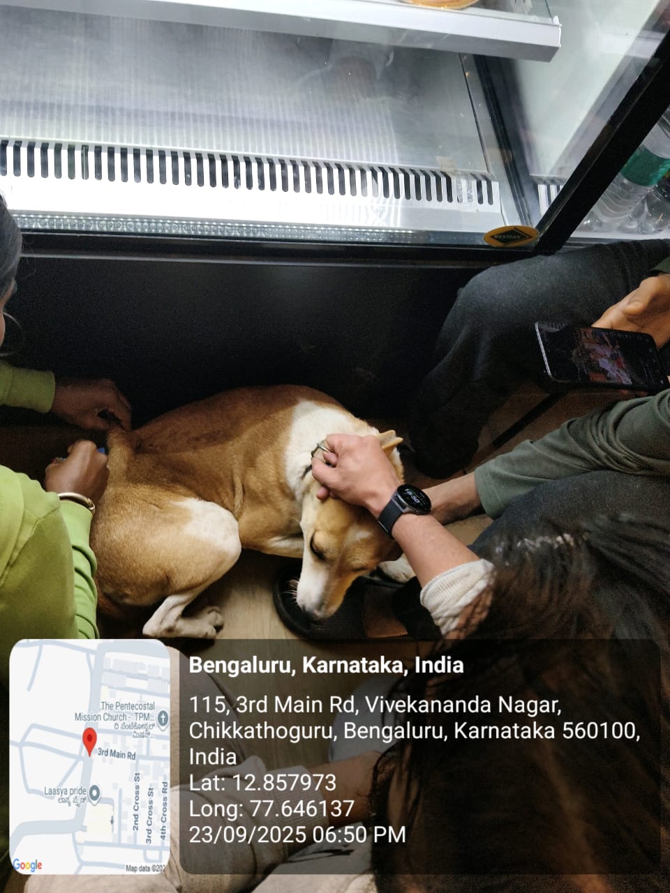 WhatsApp Image 2025-09-24 at 12.12.09 PM (1)