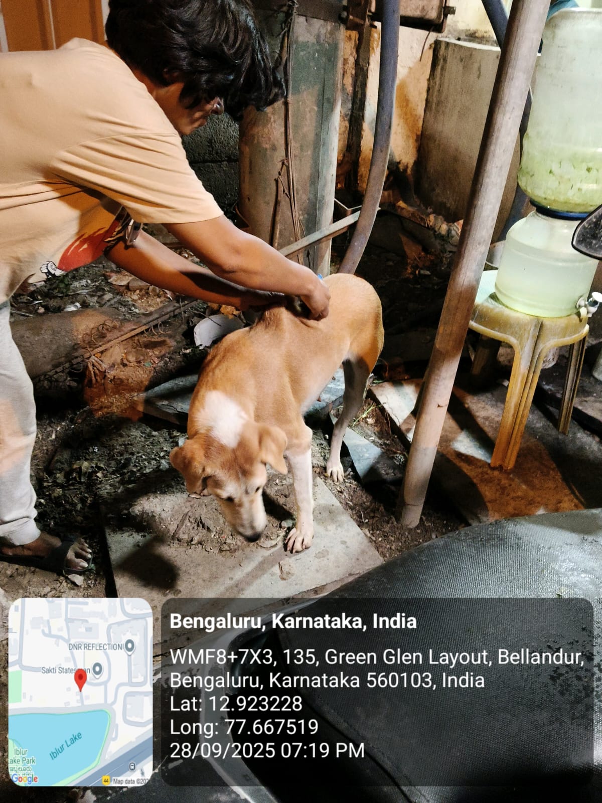 WhatsApp Image 2025-09-29 at 12.09.14 PM (2)