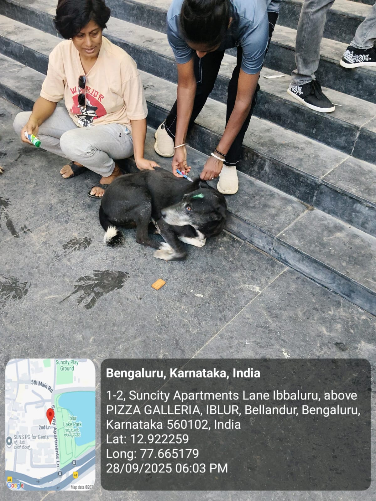 WhatsApp Image 2025-09-29 at 12.09.14 PM (3)