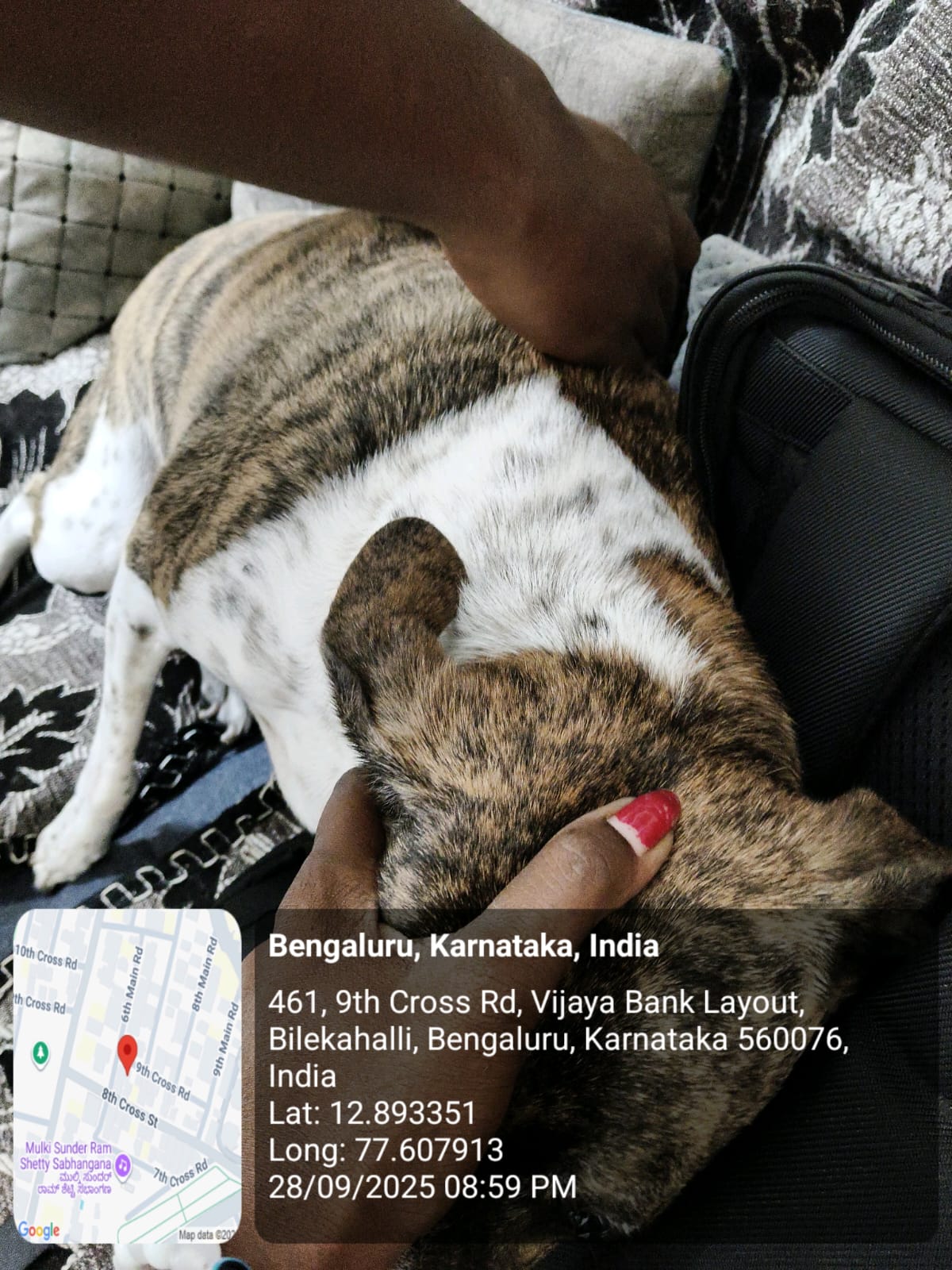 WhatsApp Image 2025-09-29 at 12.09.15 PM (2)