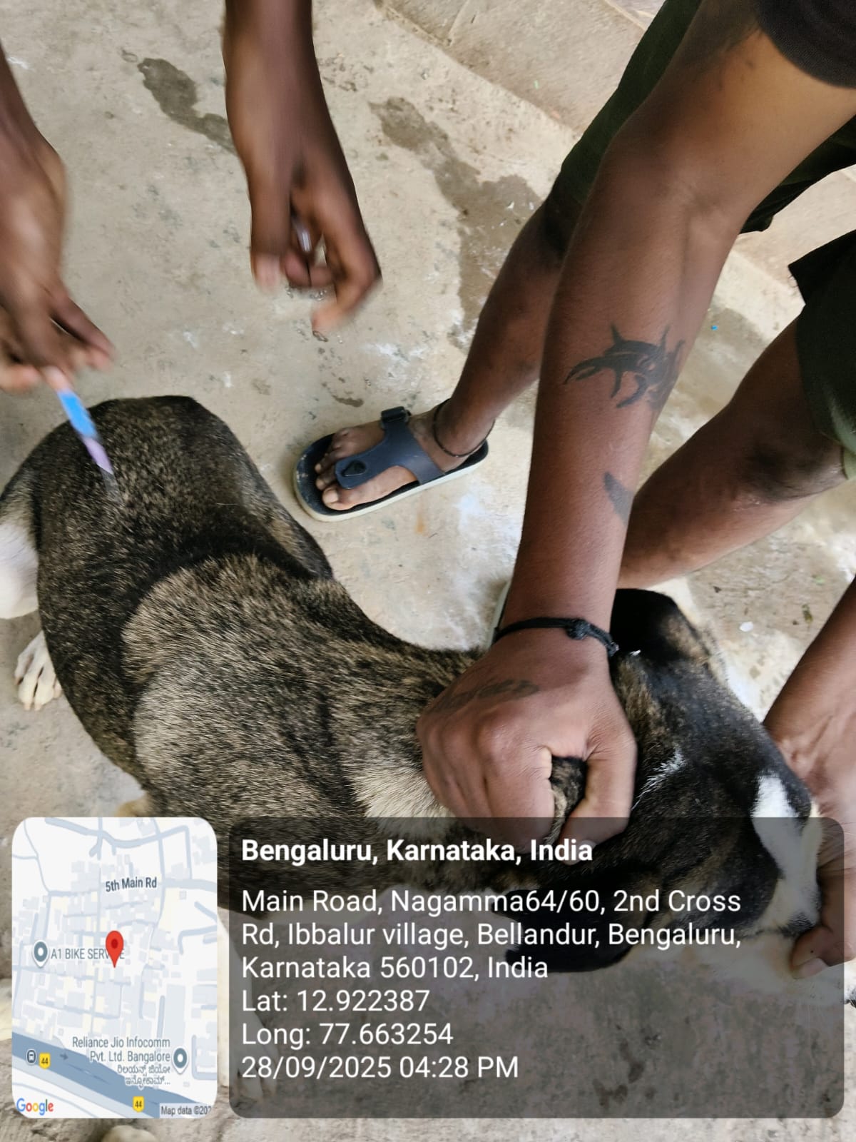 WhatsApp Image 2025-09-29 at 12.09.15 PM (3)