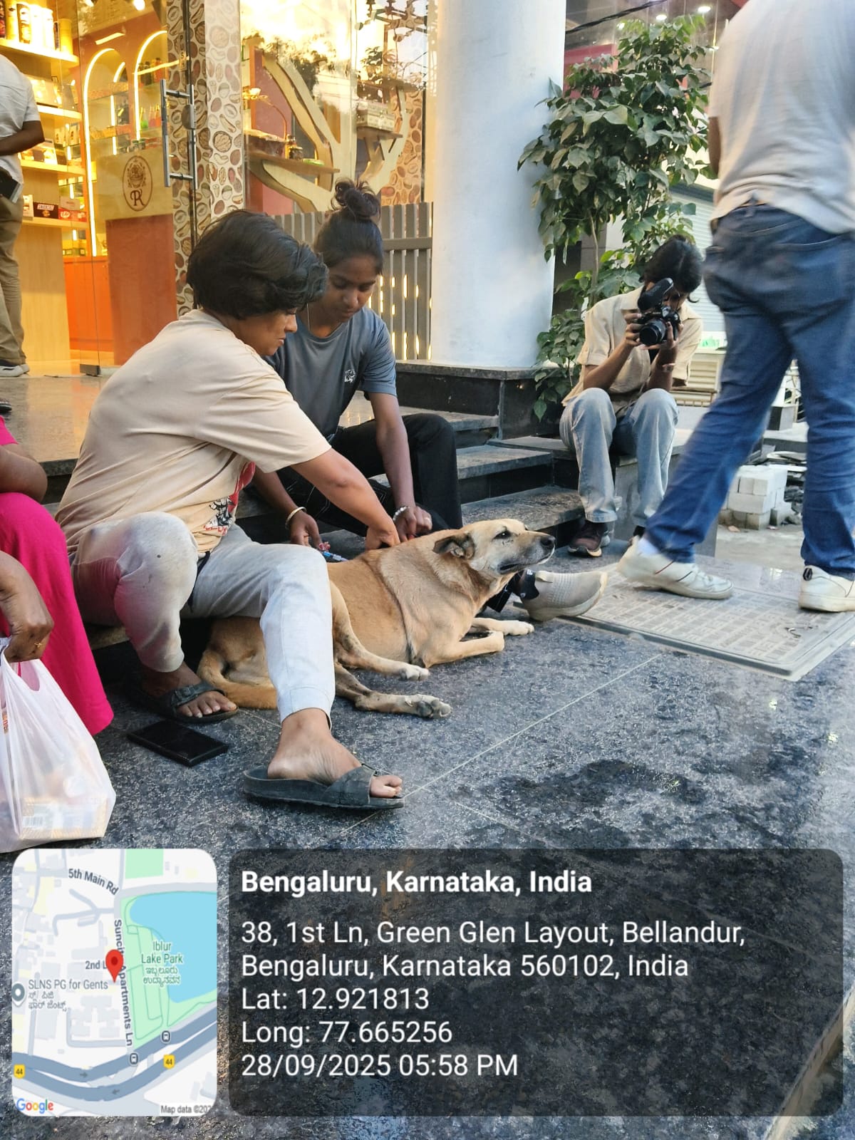 WhatsApp Image 2025-09-29 at 12.09.15 PM