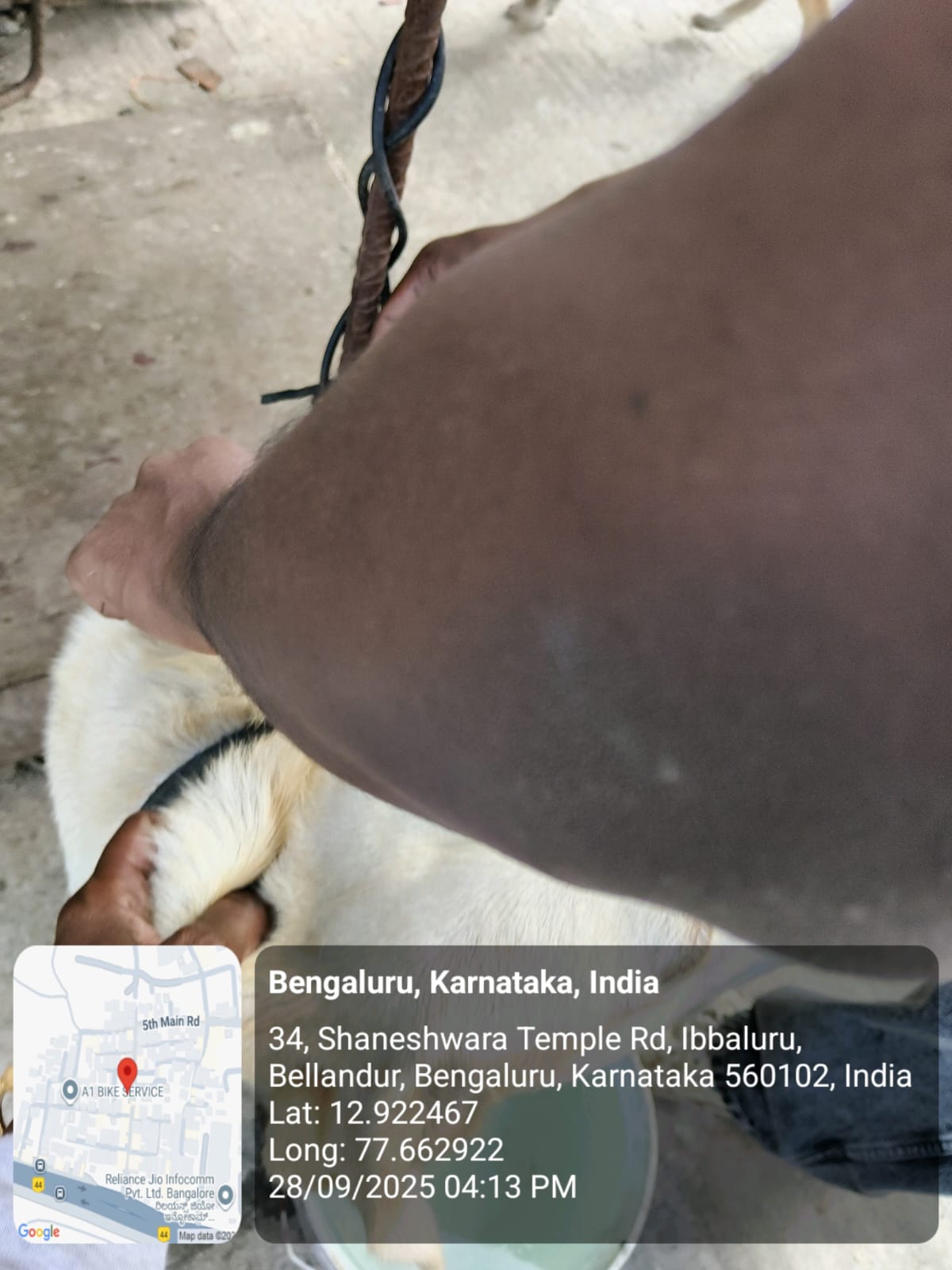 WhatsApp Image 2025-09-29 at 12.09.16 PM (1)