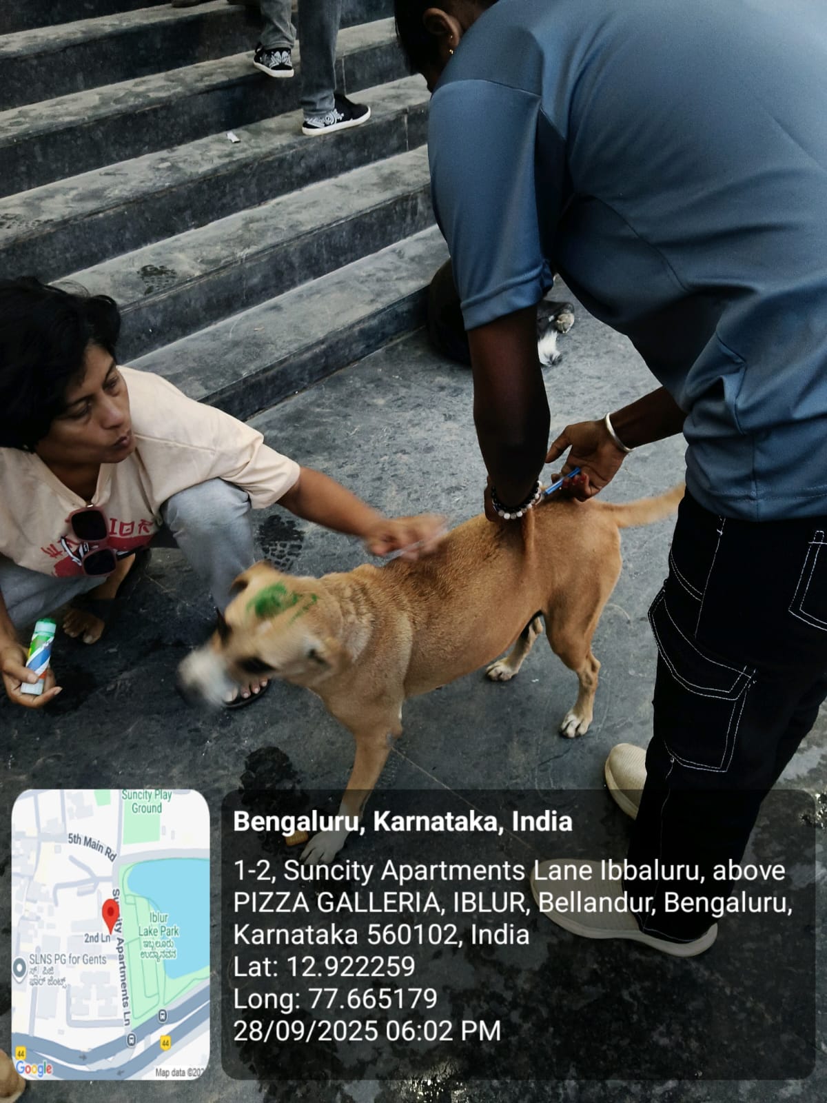 WhatsApp Image 2025-09-29 at 12.09.16 PM (2)