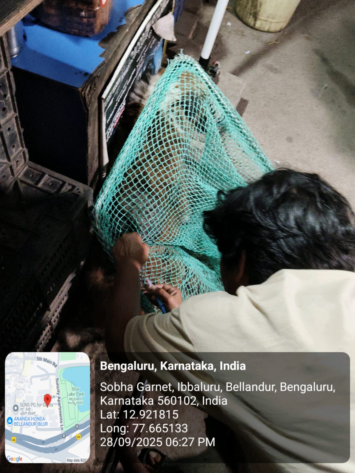 WhatsApp Image 2025-09-29 at 12.09.16 PM